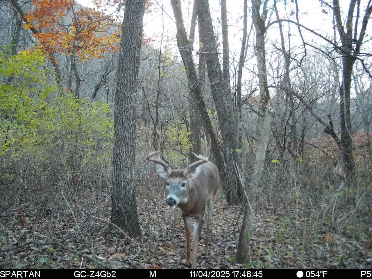 1504 Atom Road Warrens, WI 54666 - Photo 11 of 32