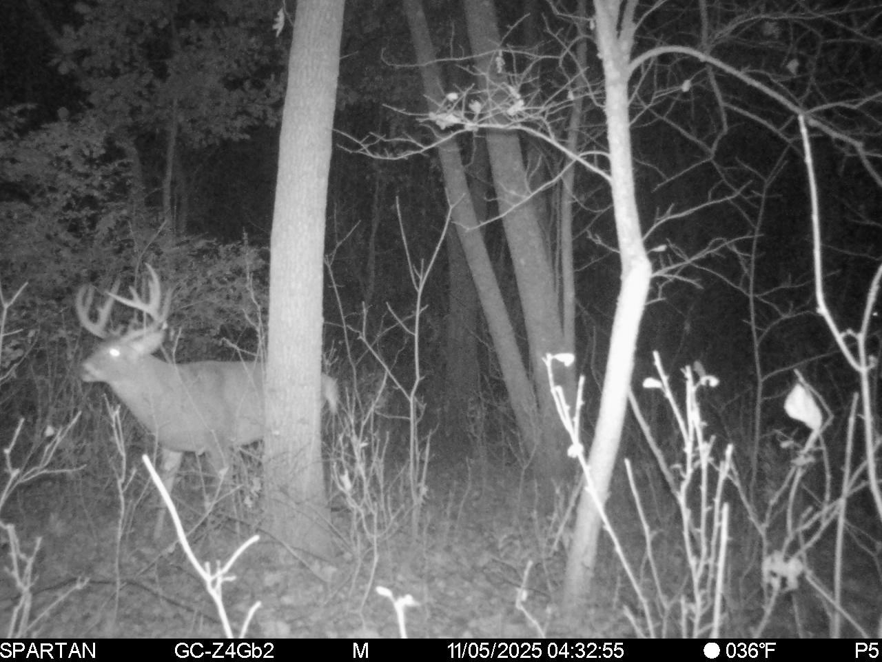 1504 Atom Road Warrens, WI 54666 - Photo 12 of 32