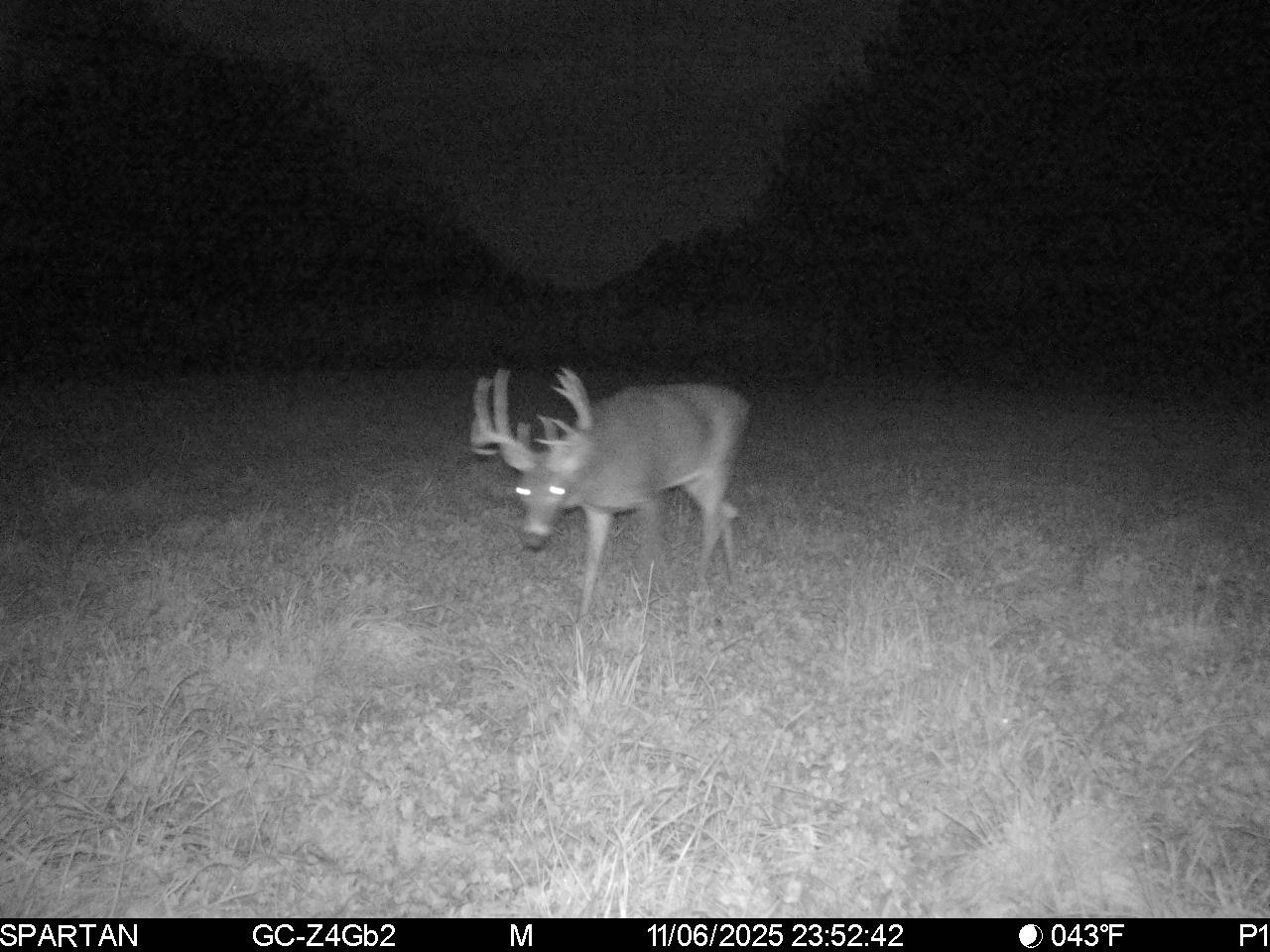 1504 Atom Road Warrens, WI 54666 - Photo 17 of 32