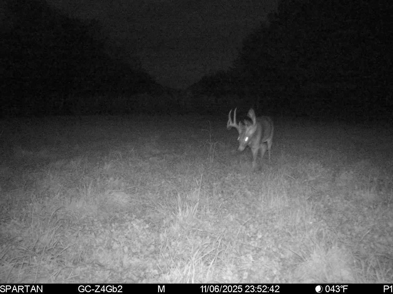 1504 Atom Road Warrens, WI 54666 - Photo 18 of 32