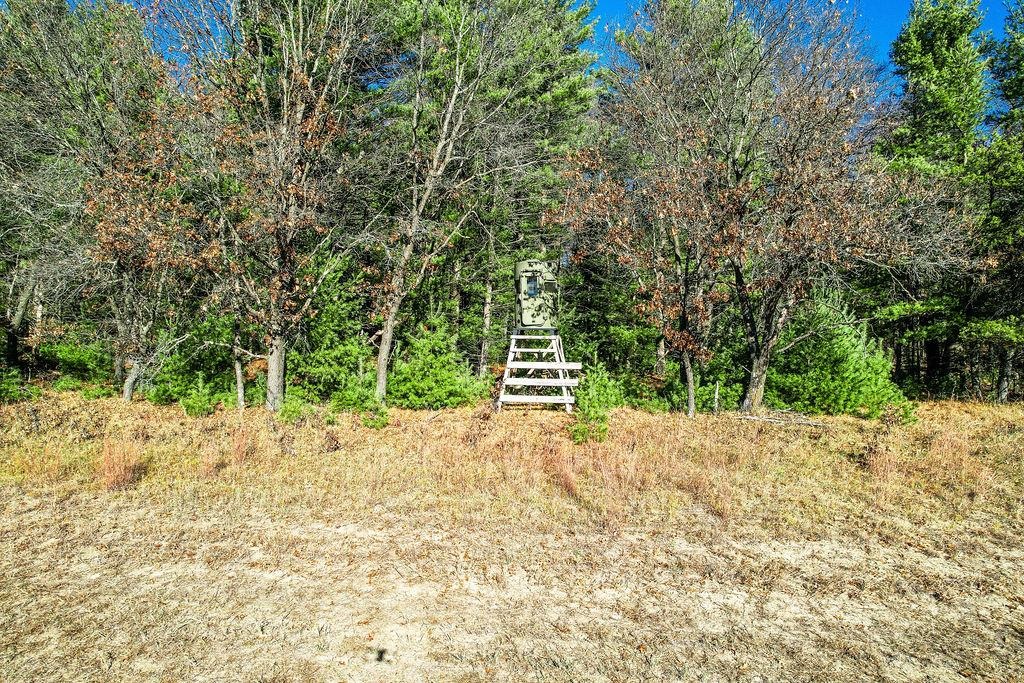 1504 Atom Road Warrens, WI 54666 - Photo 19 of 32