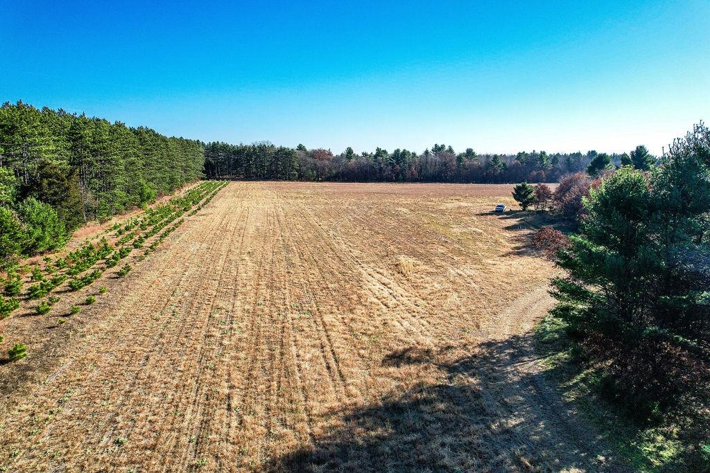 1504 Atom Road Warrens, WI 54666 - Photo 21 of 32