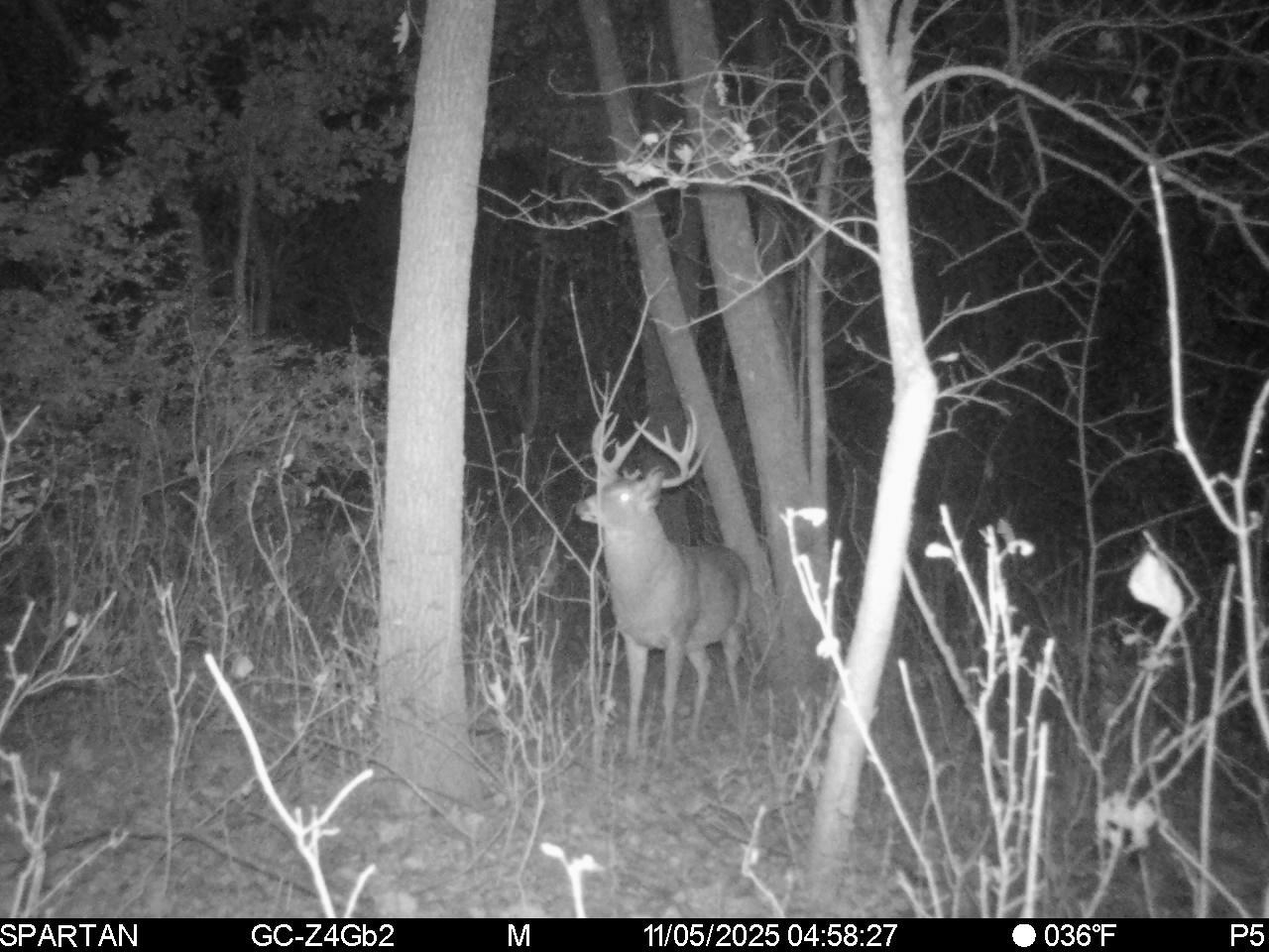 1504 Atom Road Warrens, WI 54666 - Photo 6 of 32