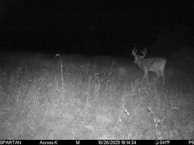 $1,100,000 | 1504 Atom Road, Warrens, WI 54666