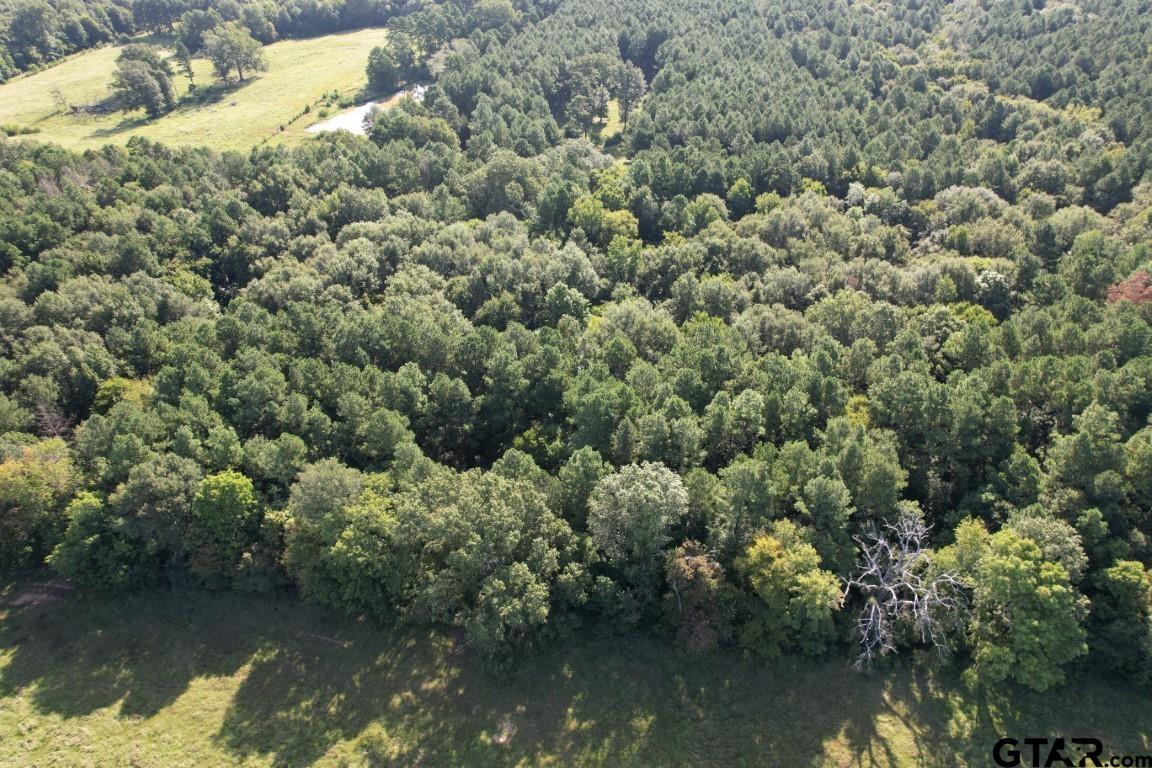 168-1 County Road 168 Long Branch, TX 75669 - Photo 11 of 37 a view of a lake with green space