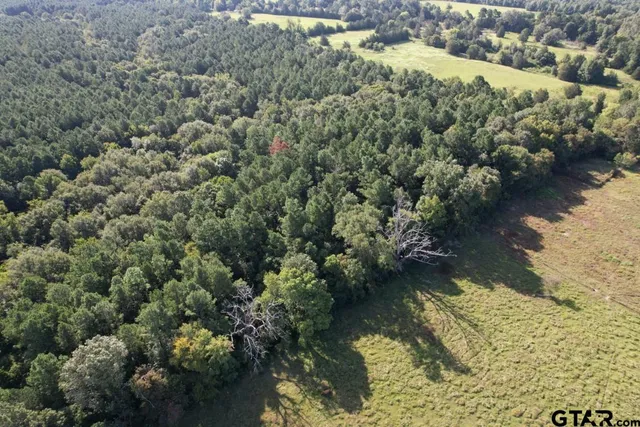 $324,000 | 168-1 County Road 168, Long Branch, TX 75669