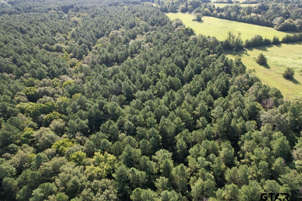 168-1 County Road 168 Long Branch, TX 75669 - Photo 13 of 37