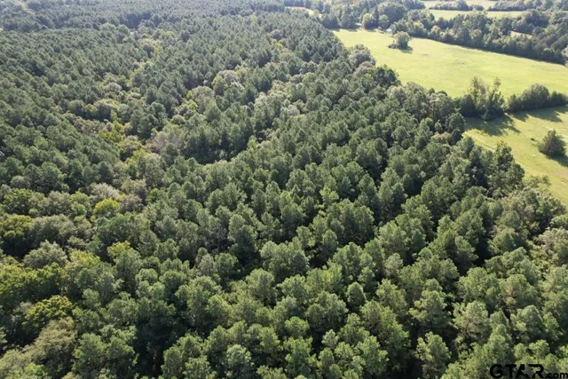 $324,000 | 168-1 County Road 168, Long Branch, TX 75669