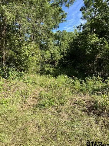 $324,000 | 168-1 County Road 168, Long Branch, TX 75669