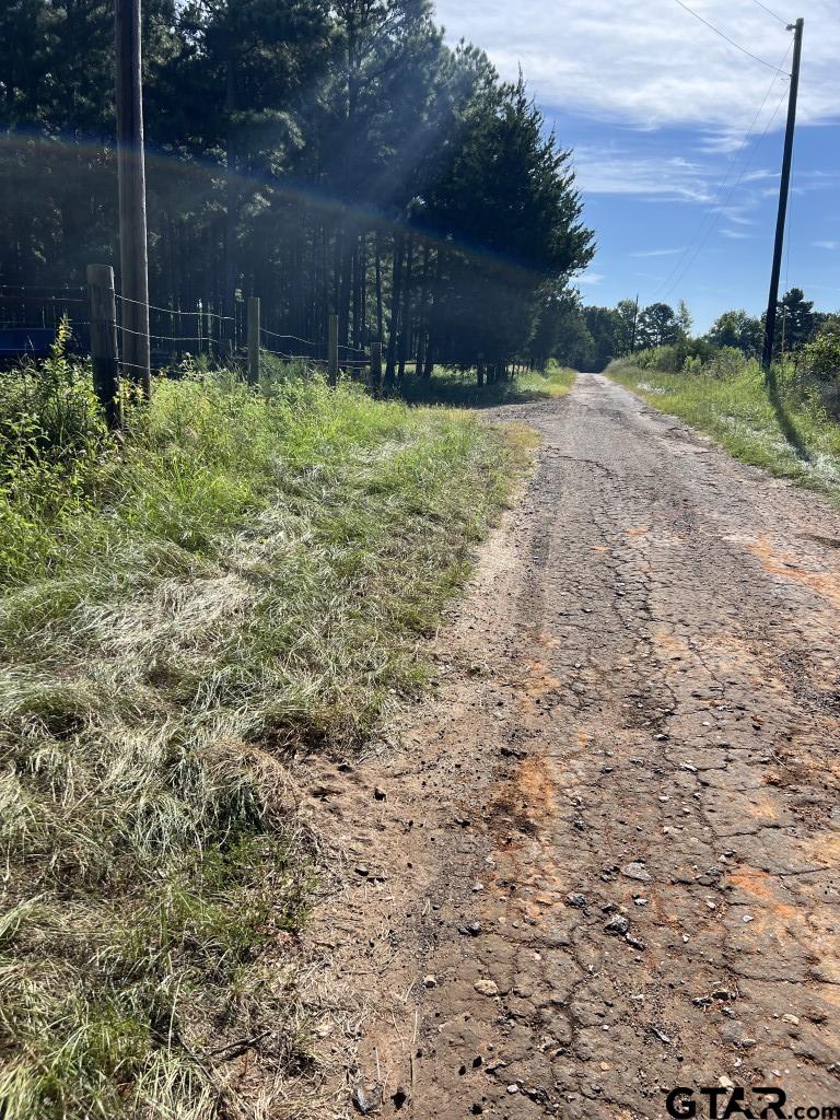 168-1 County Road 168 Long Branch, TX 75669 - Photo 16 of 37 a backyard of a house