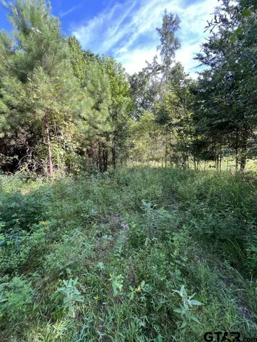 $324,000 | 168-1 County Road 168, Long Branch, TX 75669