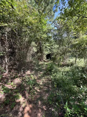 $324,000 | 168-1 County Road 168, Long Branch, TX 75669