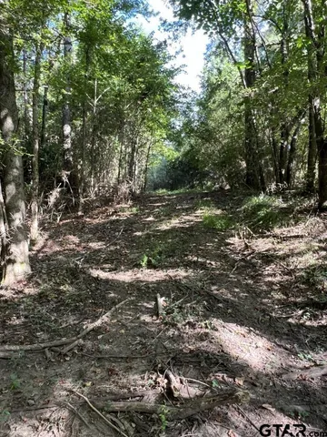 $324,000 | 168-1 County Road 168, Long Branch, TX 75669