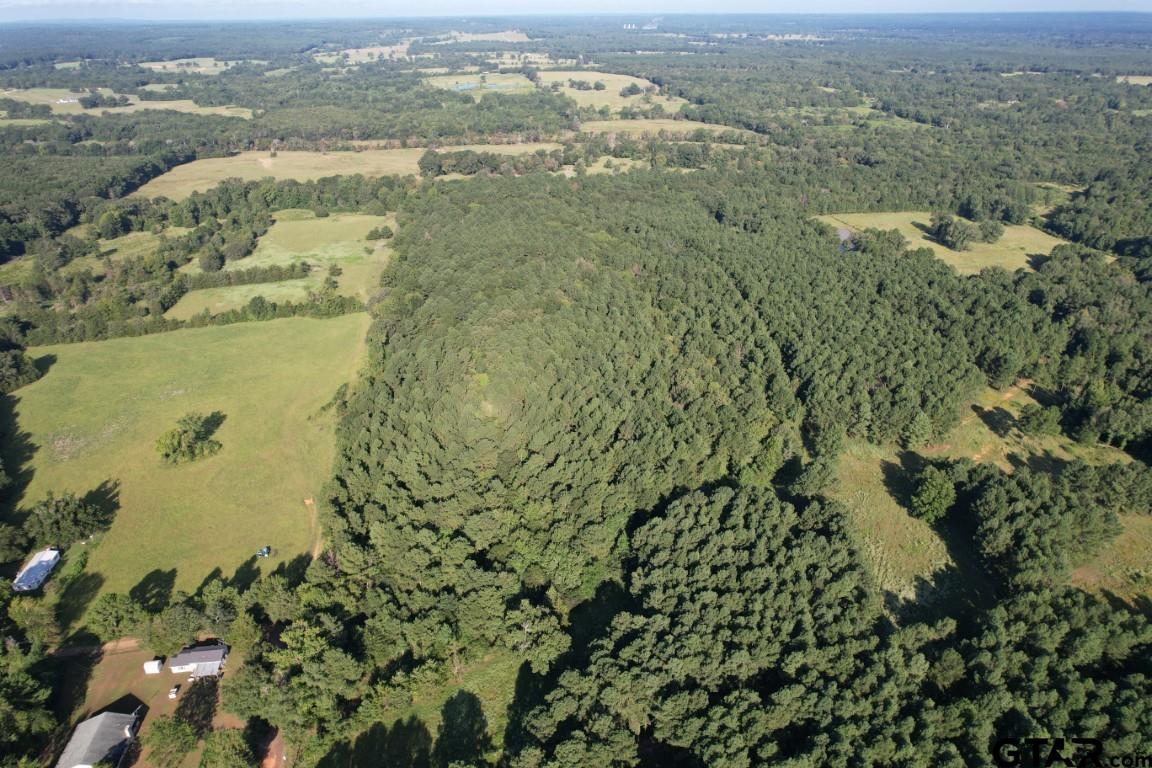 168-1 County Road 168 Long Branch, TX 75669 - Photo 2 of 37 view of city and mountain