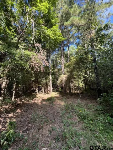 $324,000 | 168-1 County Road 168, Long Branch, TX 75669