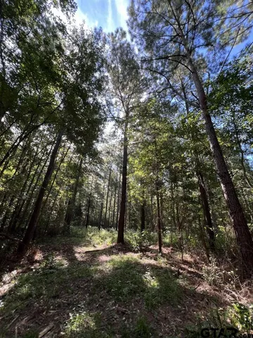 $324,000 | 168-1 County Road 168, Long Branch, TX 75669