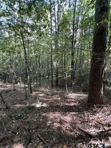 $324,000 | 168-1 County Road 168, Long Branch, TX 75669