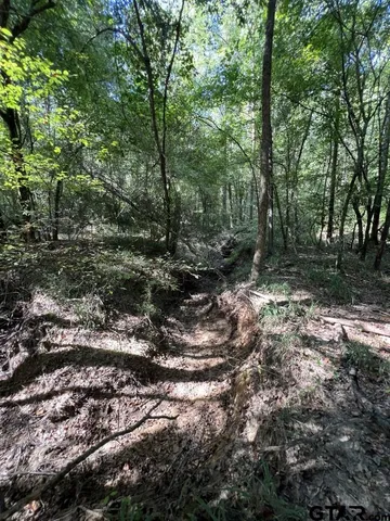 $324,000 | 168-1 County Road 168, Long Branch, TX 75669