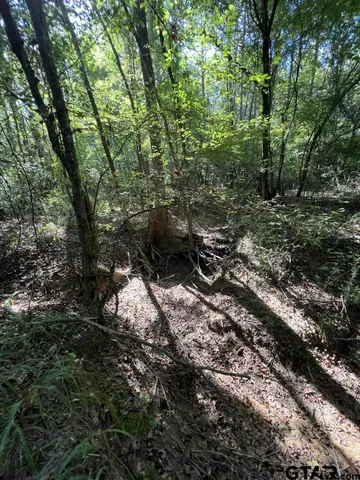 $324,000 | 168-1 County Road 168, Long Branch, TX 75669