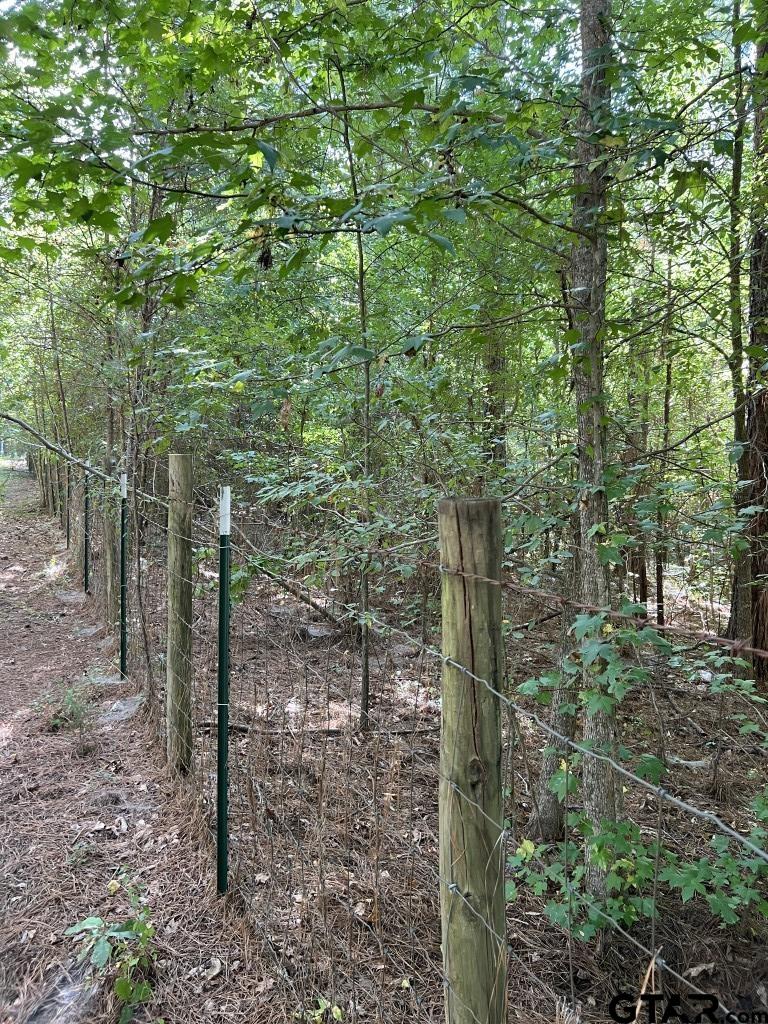 168-1 County Road 168 Long Branch, TX 75669 - Photo 28 of 37 a view of a pathway both side of the forest