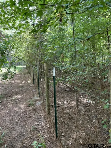 $324,000 | 168-1 County Road 168, Long Branch, TX 75669