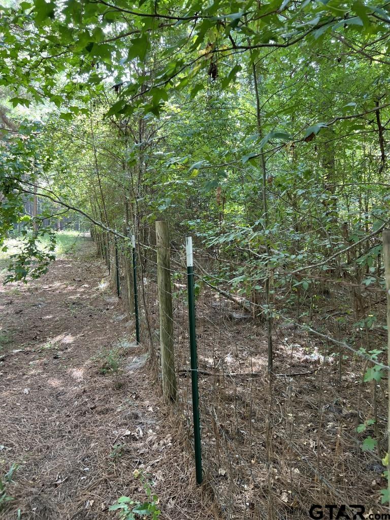 168-1 County Road 168 Long Branch, TX 75669 - Photo 29 of 37 a view of a forest filled with trees