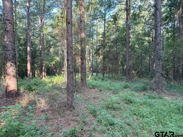 $324,000 | 168-1 County Road 168, Long Branch, TX 75669