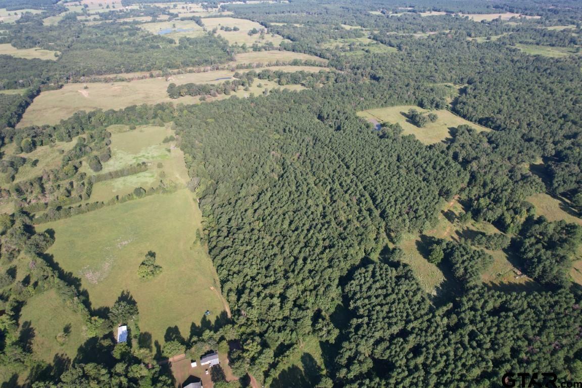 168-1 County Road 168 Long Branch, TX 75669 - Photo 3 of 37 a aerial view of a house with a yard