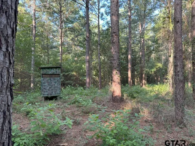 $324,000 | 168-1 County Road 168, Long Branch, TX 75669