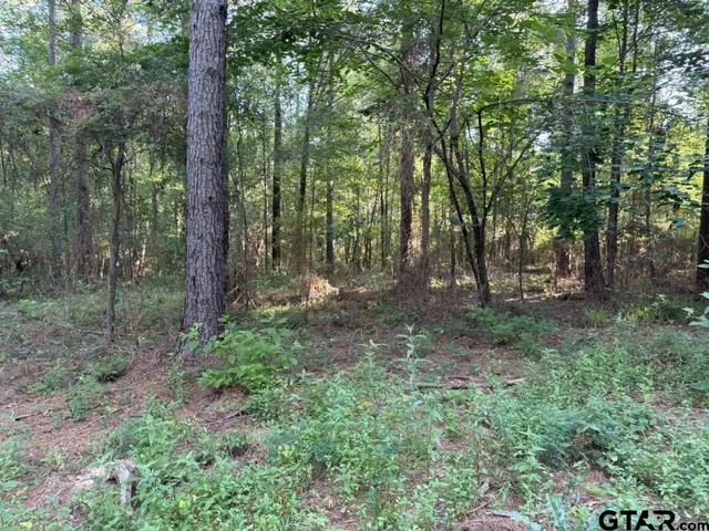 $324,000 | 168-1 County Road 168, Long Branch, TX 75669