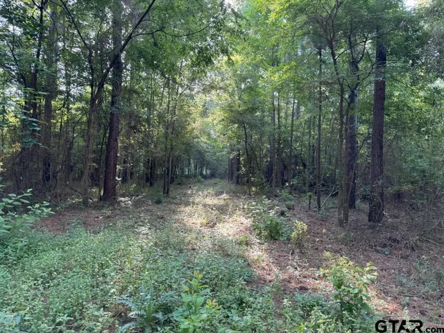 $324,000 | 168-1 County Road 168, Long Branch, TX 75669