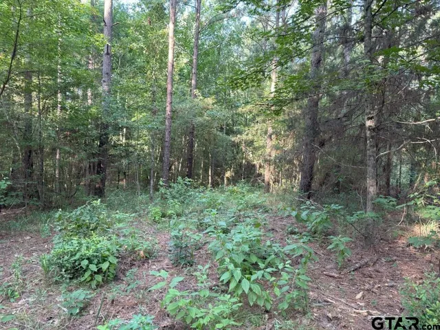 $324,000 | 168-1 County Road 168, Long Branch, TX 75669