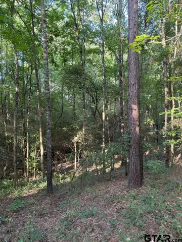 $324,000 | 168-1 County Road 168, Long Branch, TX 75669