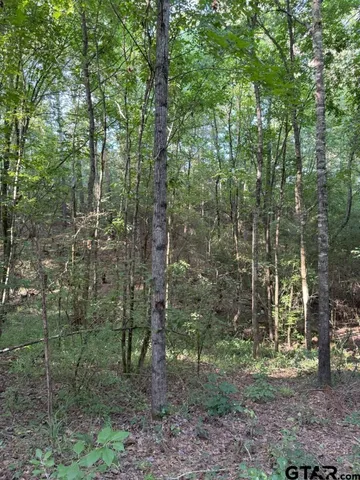 $324,000 | 168-1 County Road 168, Long Branch, TX 75669