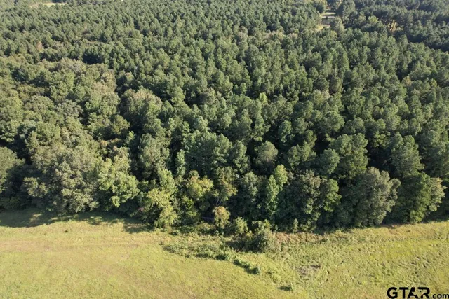 $324,000 | 168-1 County Road 168, Long Branch, TX 75669