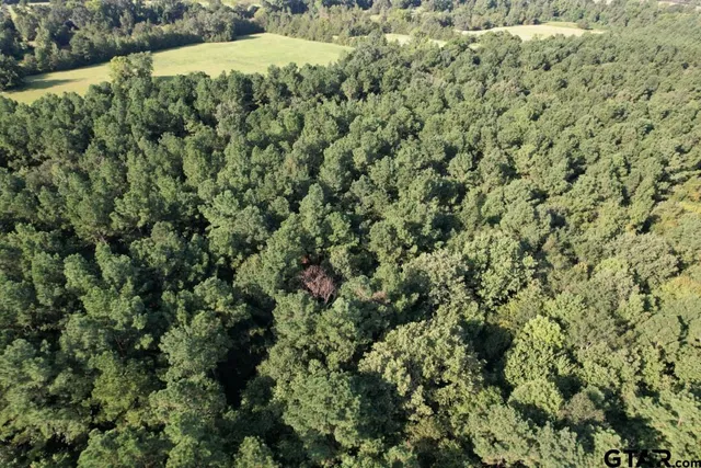 $324,000 | 168-1 County Road 168, Long Branch, TX 75669