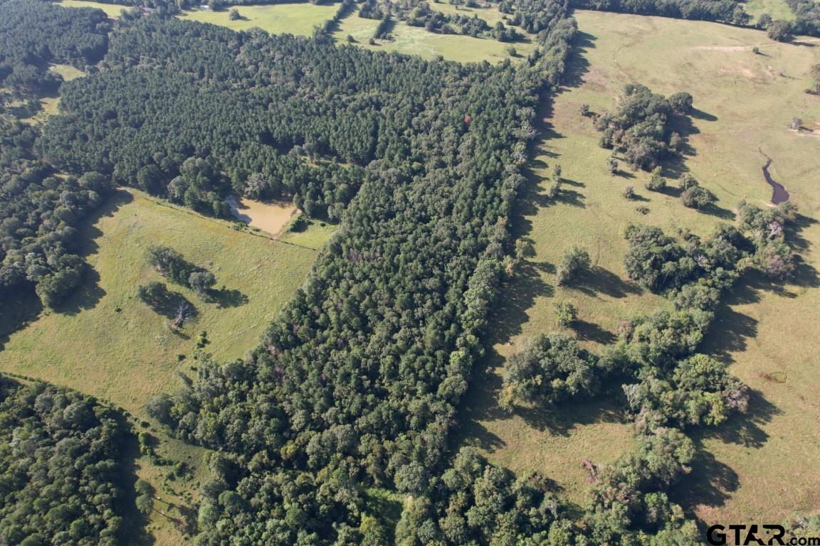 168-1 County Road 168 Long Branch, TX 75669 - Photo 7 of 37 a view of a lake in between of the trees