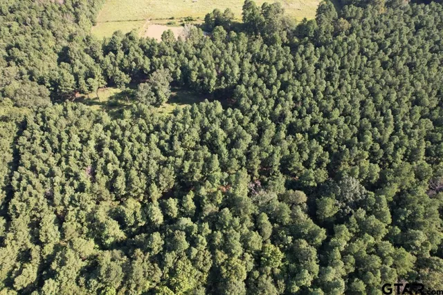 $324,000 | 168-1 County Road 168, Long Branch, TX 75669