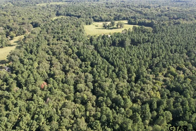 $324,000 | 168-1 County Road 168, Long Branch, TX 75669