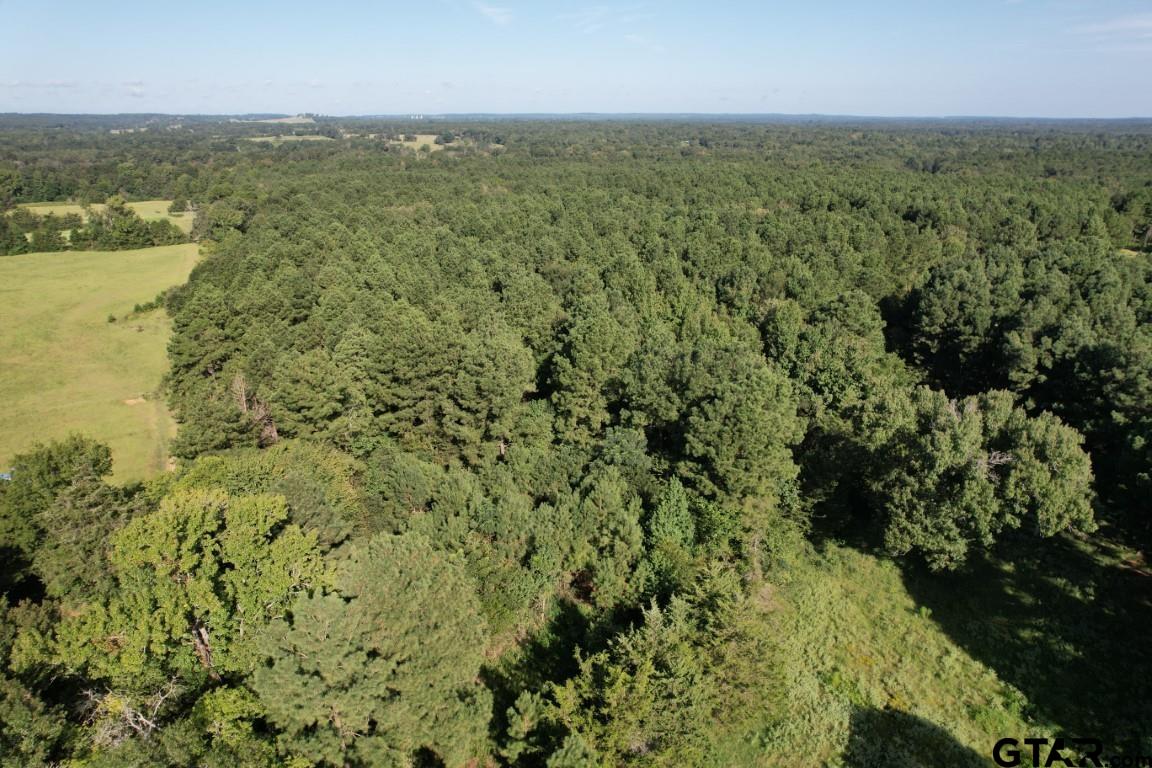 168-1 County Road 168 Long Branch, TX 75669 - Photo 10 of 37 an aerial view of residential houses with outdoor space and trees