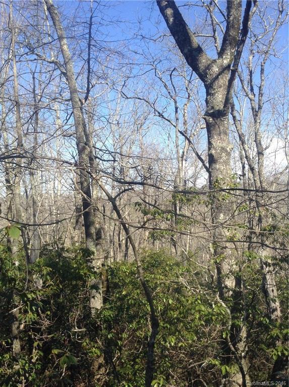 810 Big Hill Road, Unit 5 Brevard, NC 28712 - Photo 1 of 12 Gallery Image 1