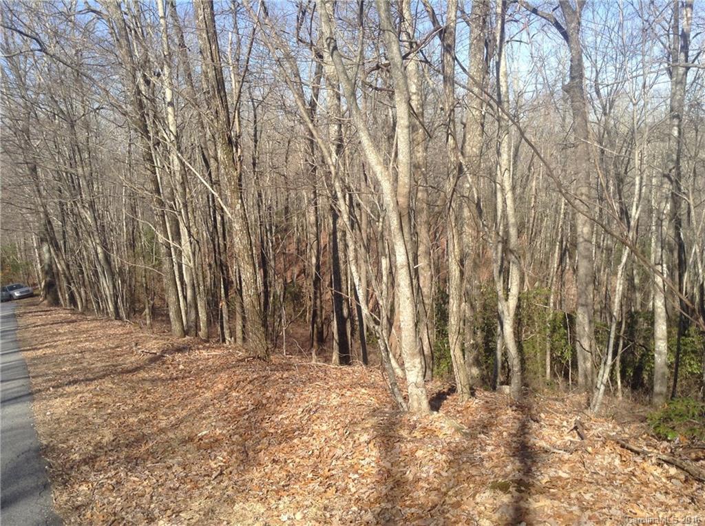 810 Big Hill Road, Unit 5 Brevard, NC 28712 - Photo 7 of 12 Gallery Image 7