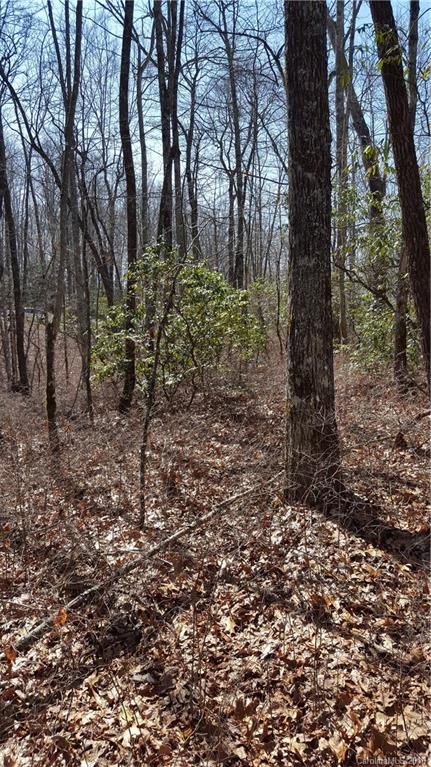 810 Big Hill Road, Unit 5 Brevard, NC 28712 - Photo 8 of 12 Gallery Image 8