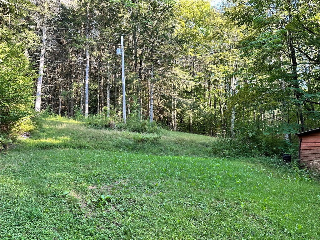 2068 Huntley Hollow Road Delancey, NY 13752 - Photo 41 of 43