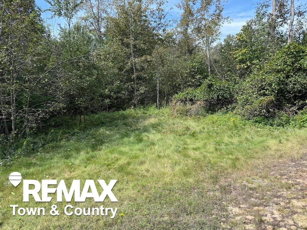 5971 Point Road Harrisville, MI 48740 - Photo 36 of 49 Gallery Image 36