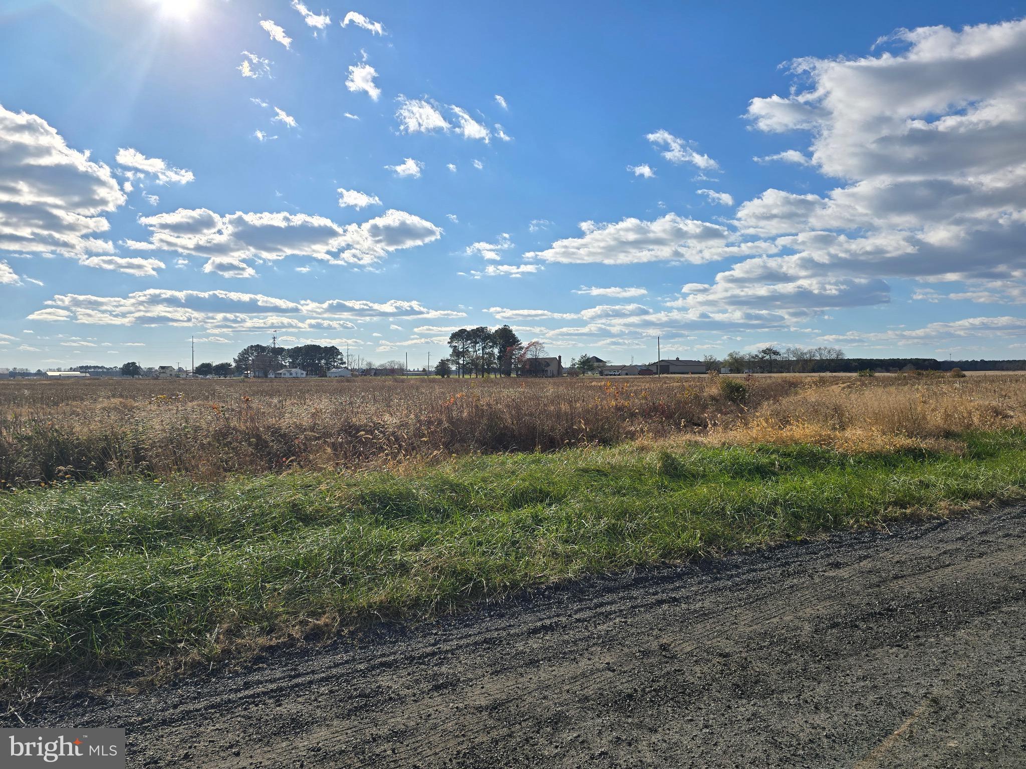 1 Poplar Neck, Unit ROAD Willards, MD 21874 - Photo 13 of 14 a view of a yard with an outdoor space