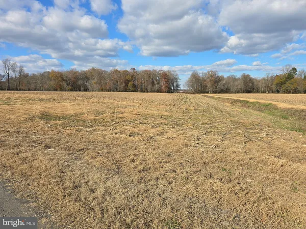 $175,000 | 1 Poplar Neck, Unit ROAD, Willards, MD 21874