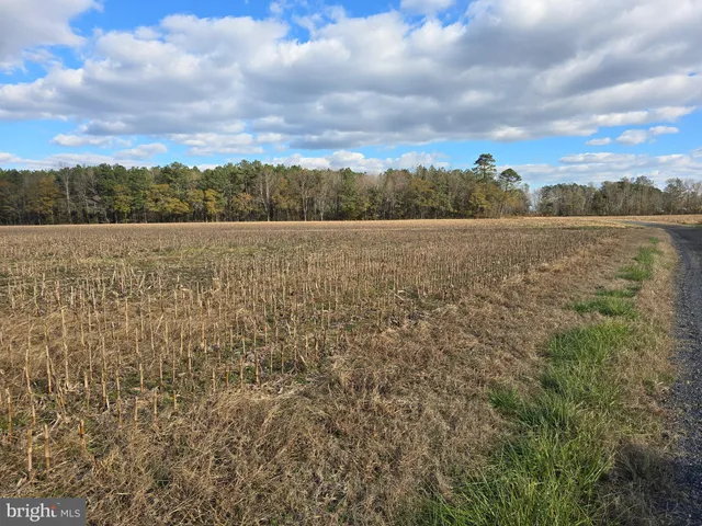 $175,000 | 1 Poplar Neck, Unit ROAD, Willards, MD 21874