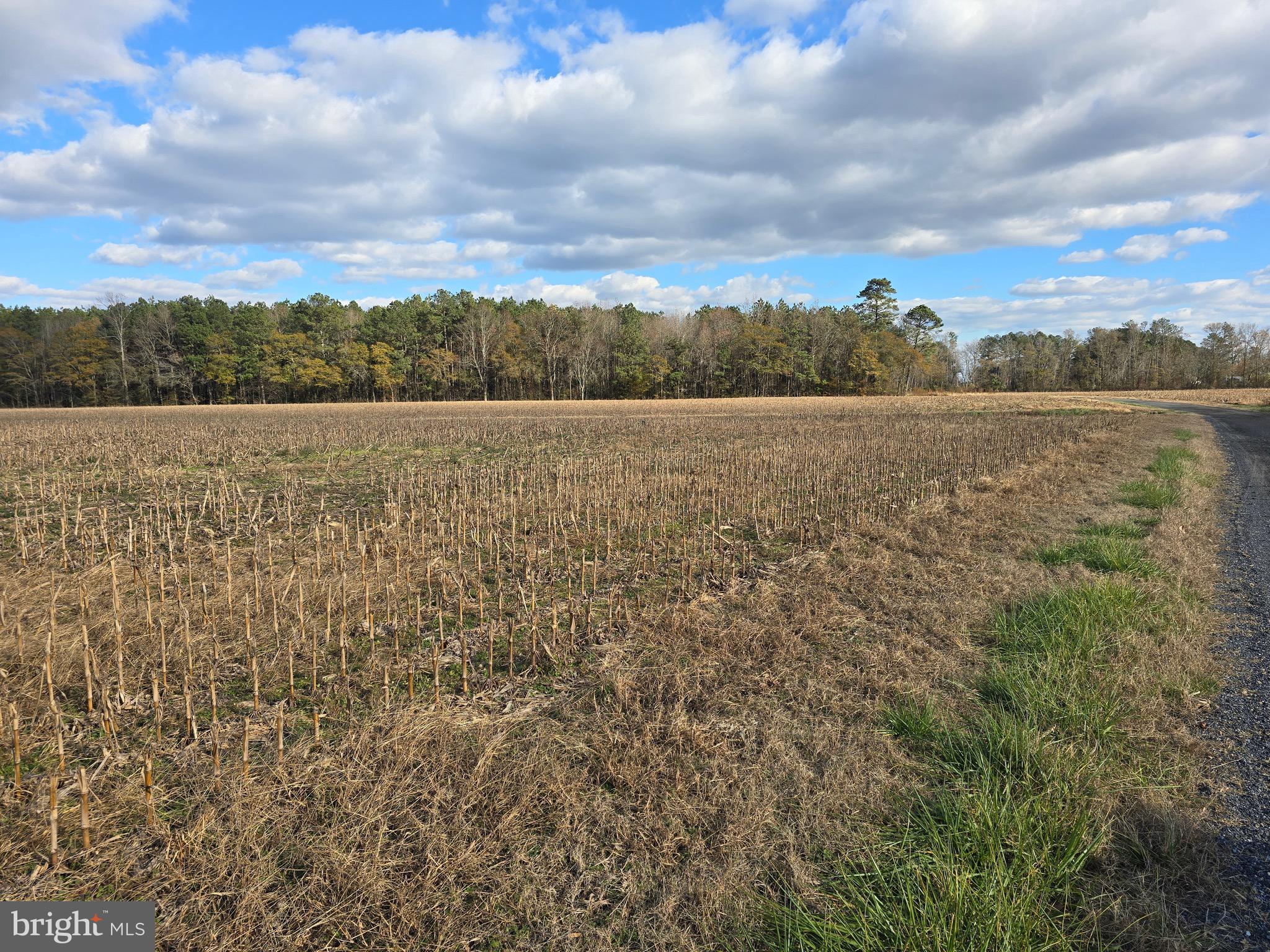 1 Poplar Neck, Unit ROAD Willards, MD 21874 - Photo 3 of 14 a view of lake