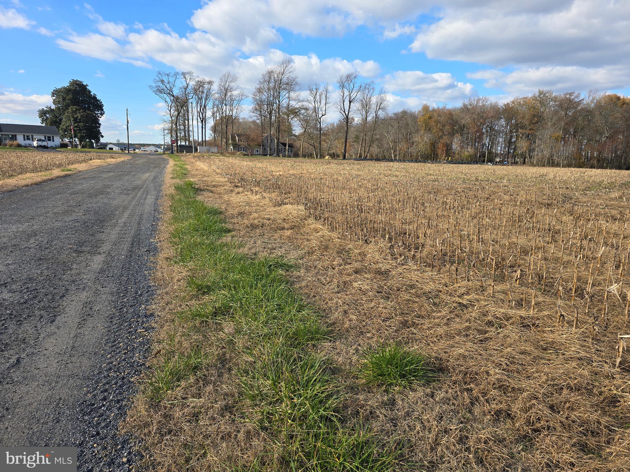 1 Poplar Neck, Unit ROAD Willards, MD 21874 - Photo 4 of 14 a view of an outdoor space and a yard